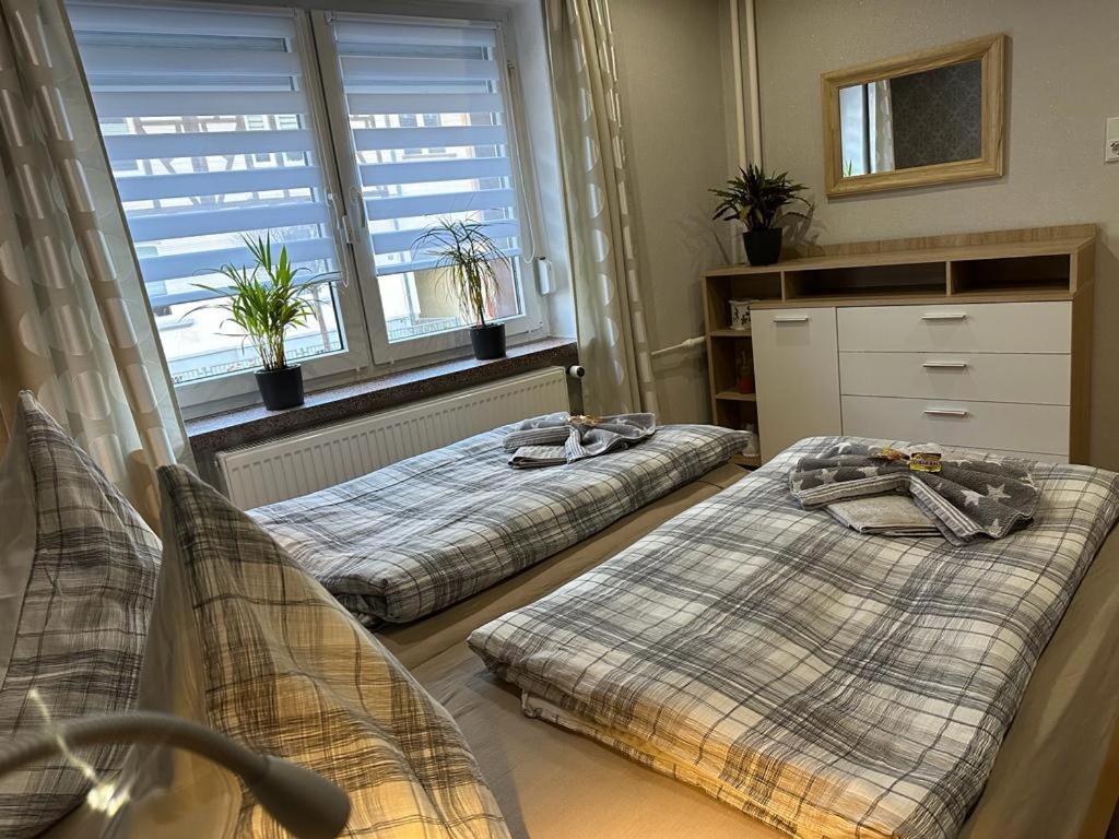 Christels Ferienwohnung 2 In Thale Mit Ueberdachter Terrasse, Kueche Mit Tv & Geschirrspueler Kültér fotó